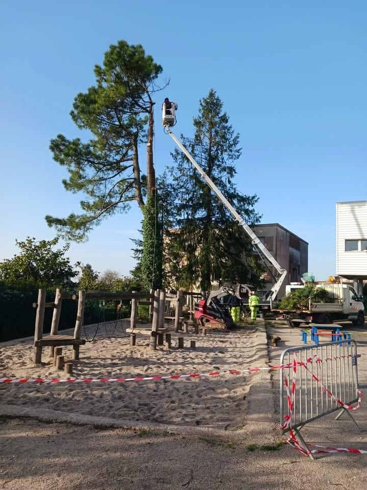 Élagage d'un pin en nacelle par l'Entreprise BES à Royan et en Charente-Maritime