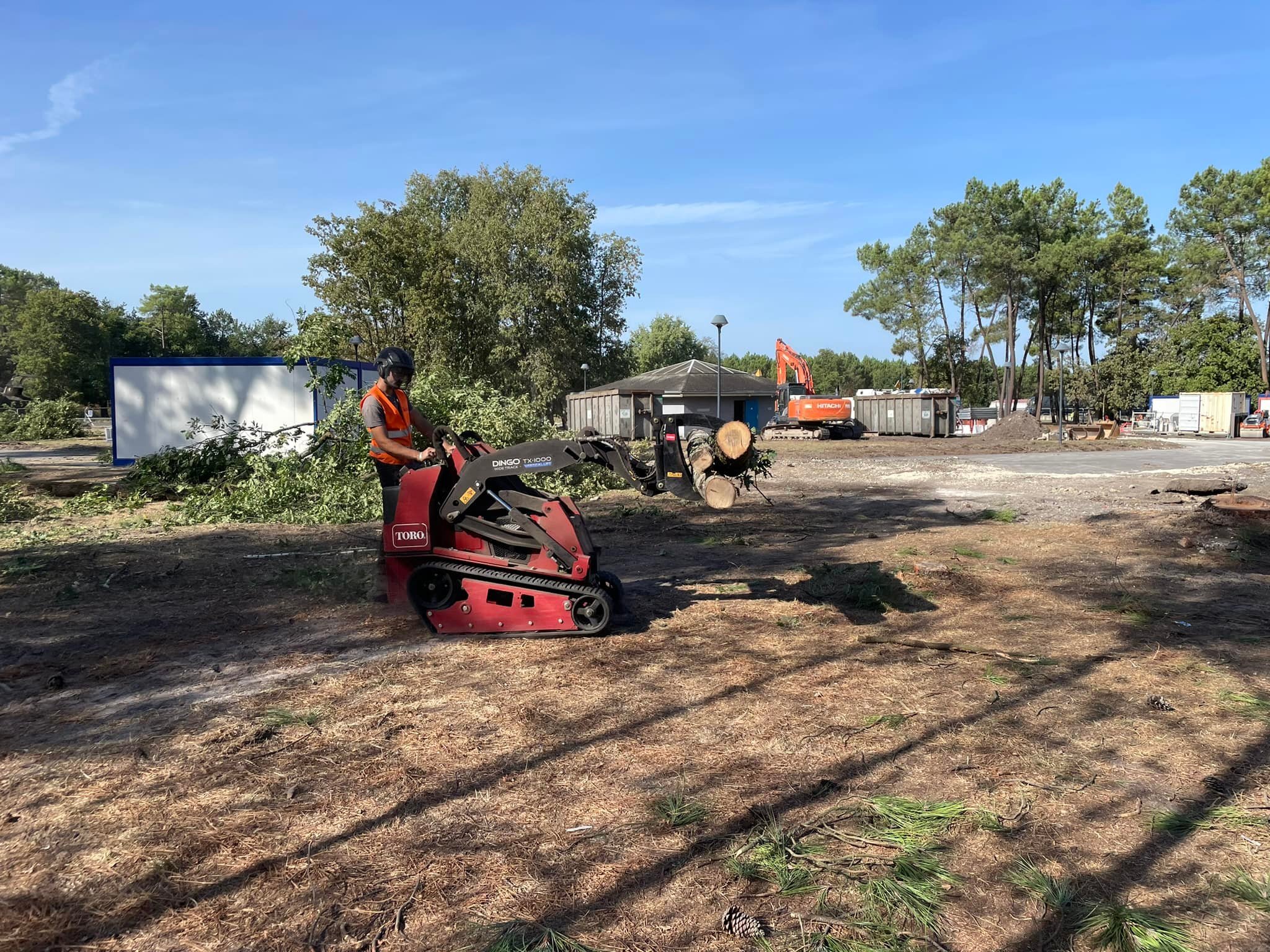 Travaux d'élagage et d'entretien par l'Entreprise BES en Charente-Maritime