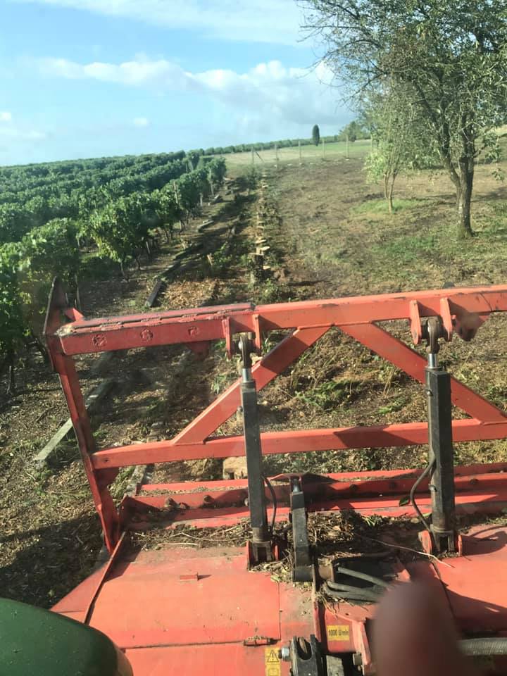 Débroussaillage réalisé par BES près de Royan