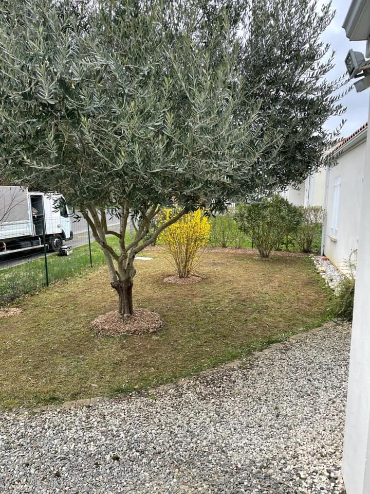 Entretien général de jardin par BES à Royan