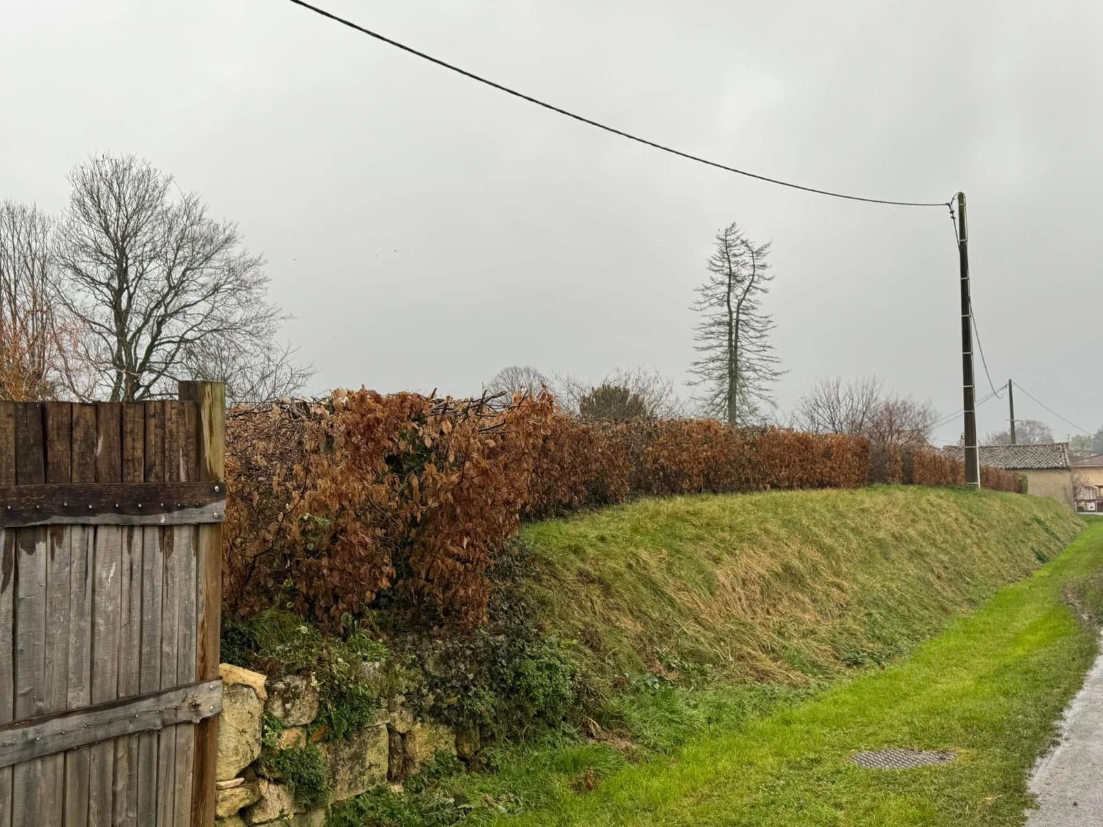 Taille de haies par l’Entreprise BES en Charente-Maritime